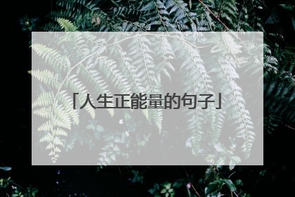 人生正能量的句子