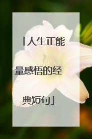 人生正能量感悟的经典短句