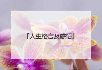 人生格言及感悟