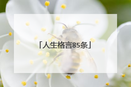 人生格言85条