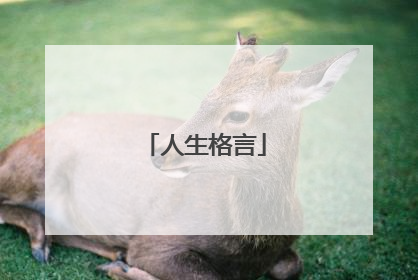 人生格言