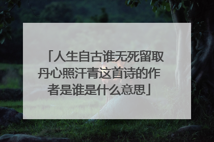 人生自古谁无死留取丹心照汗青这首诗的作者是谁是什么意思