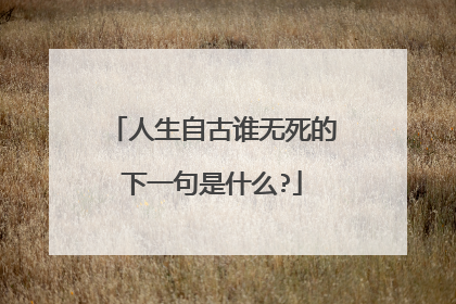 人生自古谁无死的下一句是什么?