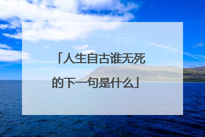 人生自古谁无死的下一句是什么