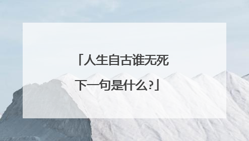 人生自古谁无死下一句是什么?