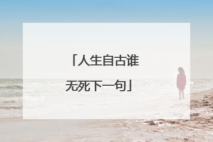 人生自古谁无死下一句