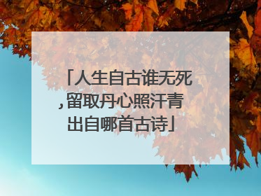 人生自古谁无死,留取丹心照汗青出自哪首古诗