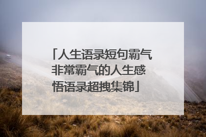 人生语录短句霸气 非常霸气的人生感悟语录超拽集锦