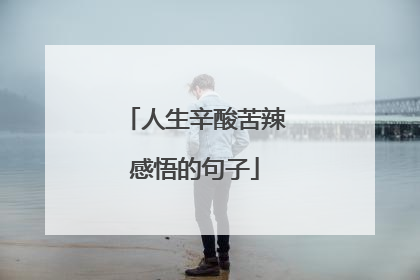 人生辛酸苦辣感悟的句子
