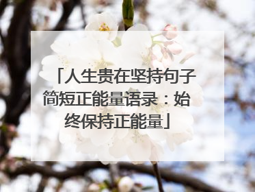 人生贵在坚持句子简短正能量语录：始终保持正能量