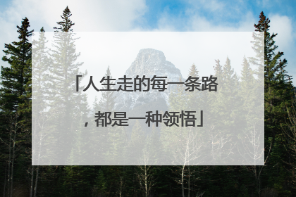 人生走的每一条路,都是一种领悟