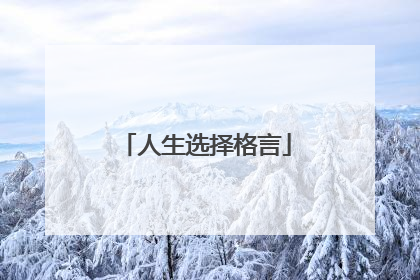 人生选择格言