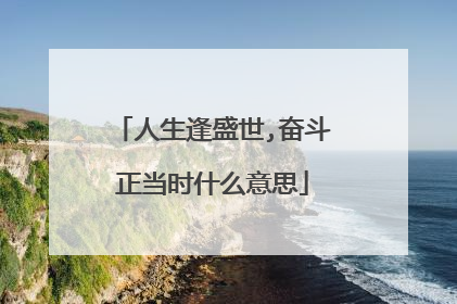 人生逢盛世,奋斗正当时什么意思