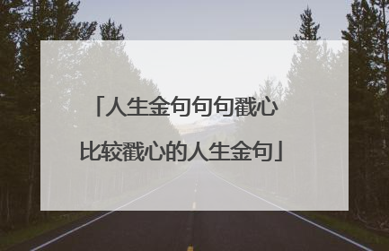 人生金句句句戳心 比较戳心的人生金句