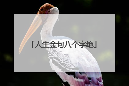人生金句八个字绝