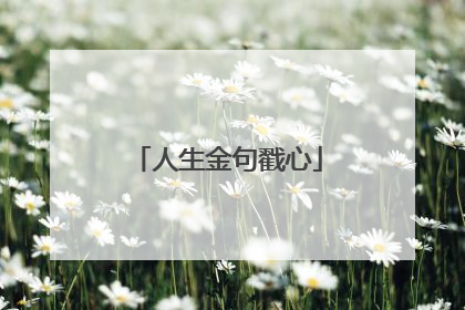 人生金句戳心