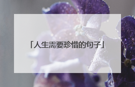 人生需要珍惜的句子
