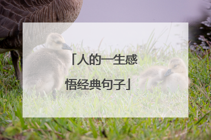 人的一生感悟经典句子