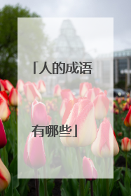 人的成语有哪些