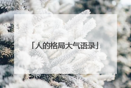 人的格局大气语录