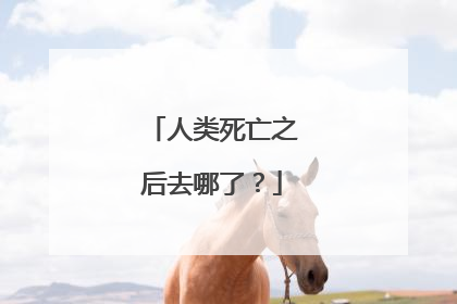 人类死亡之后去哪了?
