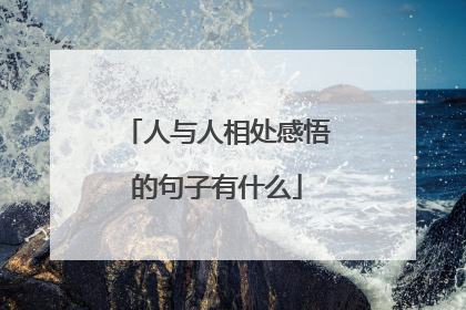 人与人相处感悟的句子有什么
