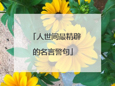 人世间最精辟的名言警句