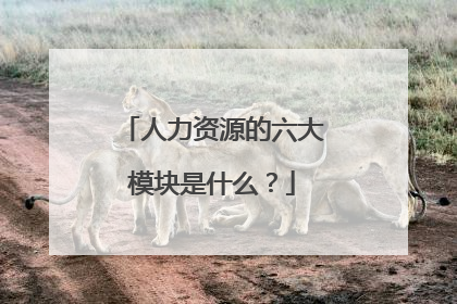 人力资源的六大模块是什么?