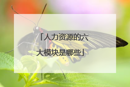 人力资源的六大模块是哪些