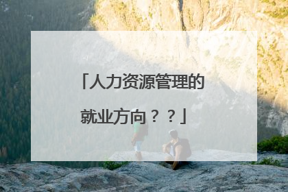 人力资源管理的就业方向??