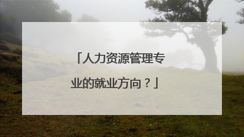 人力资源管理专业的就业方向?