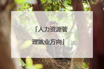 人力资源管理就业方向