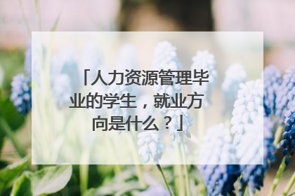人力资源管理毕业的学生,就业方向是什么?
