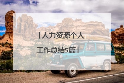人力资源个人工作总结5篇