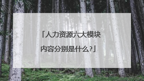 人力资源六大模块内容分别是什么?