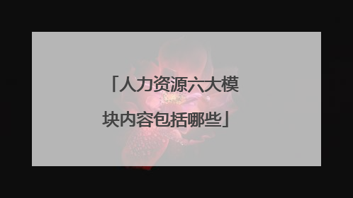 人力资源六大模块内容包括哪些