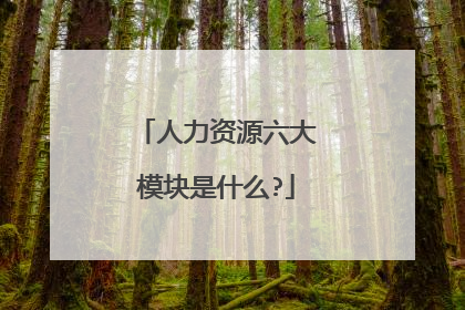 人力资源六大模块是什么?
