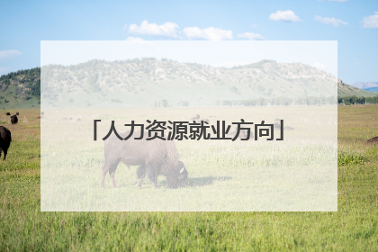 人力资源就业方向