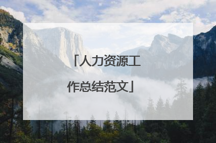 人力资源工作总结范文