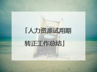 人力资源试用期转正工作总结