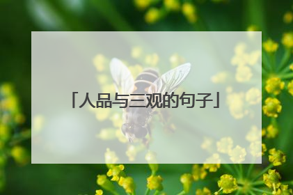 人品与三观的句子