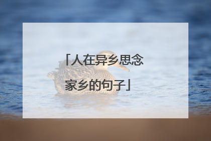 人在异乡思念家乡的句子