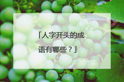人字开头的成语有哪些？