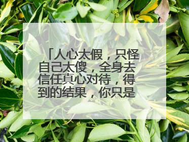 人心太假,只怪自己太傻,全身去信任真心对待,得到的结果,你只是一个备胎?