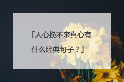 人心换不来真心有什么经典句子？