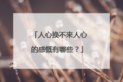 人心换不来人心的感慨有哪些？