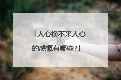 人心换不来人心的感慨有哪些?