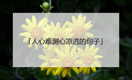 人心难测心凉透的句子