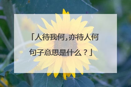 人待我何,亦待人何句子意思是什么？