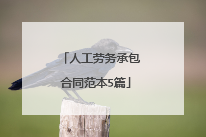 人工劳务承包合同范本5篇